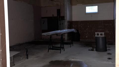 Lions Field - IMG_4554.jpeg