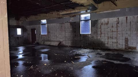 Lions Field - IMG_4553.jpeg