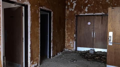 Lions Field - IMG_4551.jpeg