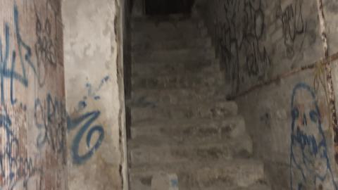 Linseed factory album.1 - D1A544C1-D96C-4689-90EC-B557CEAF0FED.jpeg