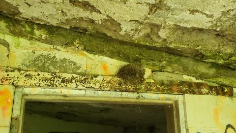 July 2022 - 20220701_150942.jpg