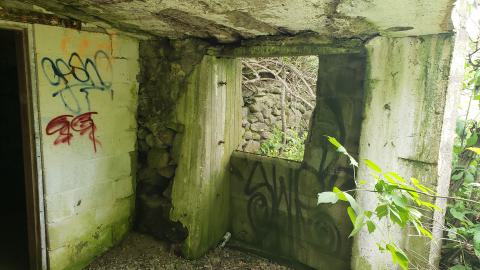 Photo from July 2022