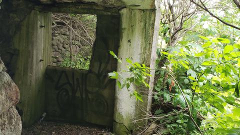 July 2022 - 20220701_150933.jpg