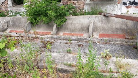 July 2022 - 20220701_151715.jpg