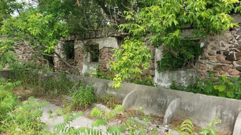 July 2022 - 20220701_145803.jpg