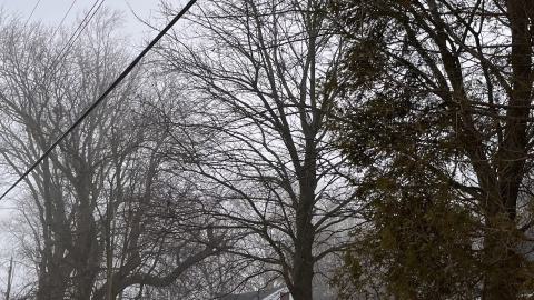 2022 - 96D4B1BE-C2F4-4587-A54D-5DDA9FCD9804.jpeg