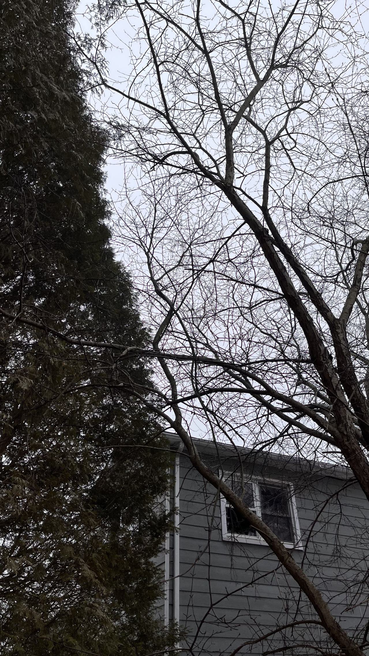 2022 - 0939765F-0899-4922-B1BF-137BCB1A9388.jpeg