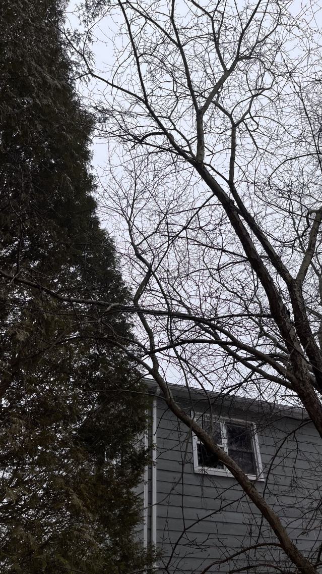 A section of houses abandoned photo 5