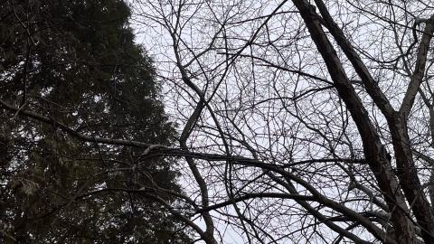 A section of houses abandoned photo 5