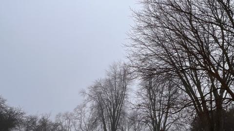 2022 - D51FB480-571C-42D1-9367-B214AFE7020A.jpeg