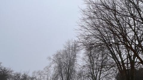 2022 - 40932D28-E374-4E45-A6D3-D4E547C1A437.jpeg