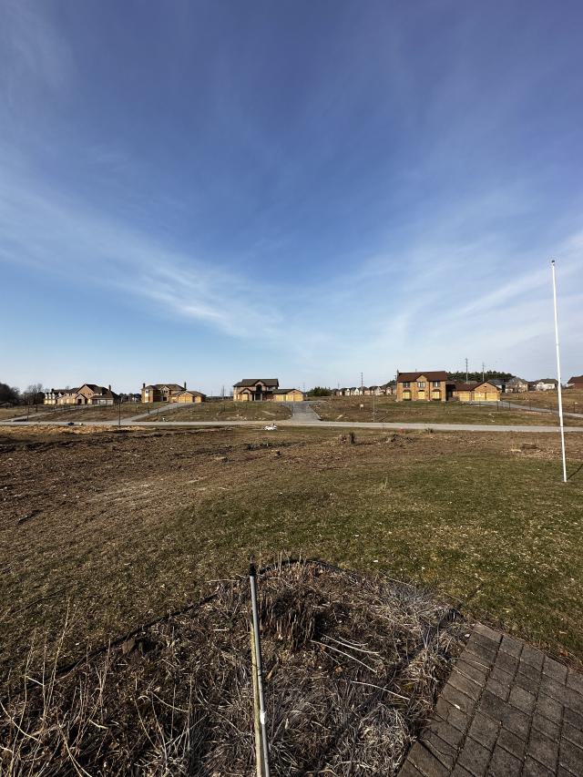 Archerhill Estates photo 2