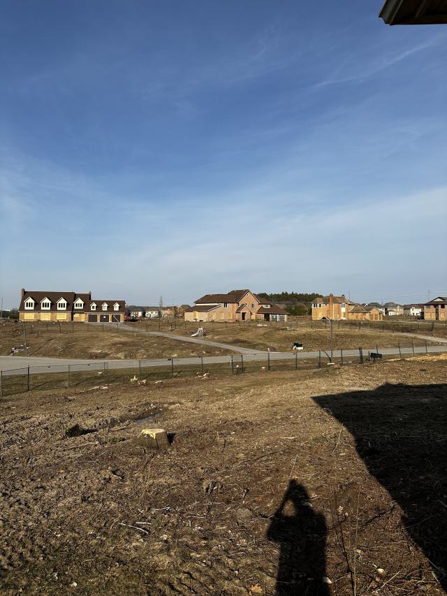 Archerhill Estates photo 3