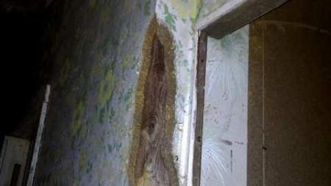 Photo from Quick Visit