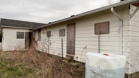 Bring A Lawnmower photo 2