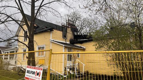 Black on Yellow photo 3