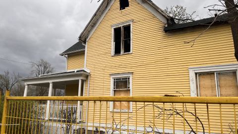 Black on Yellow photo 4