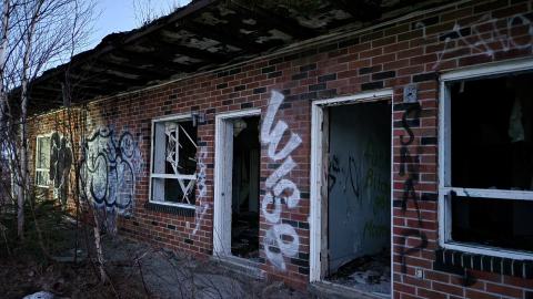 Evening Visit - 007.jpg