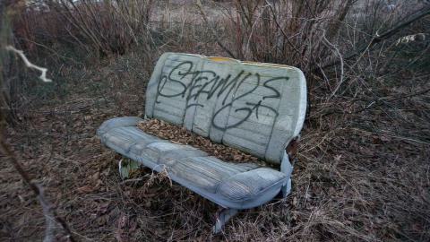 Photo from Evening Visit