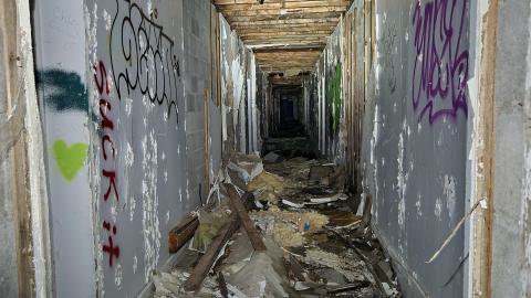 Evening Visit - 014.jpg