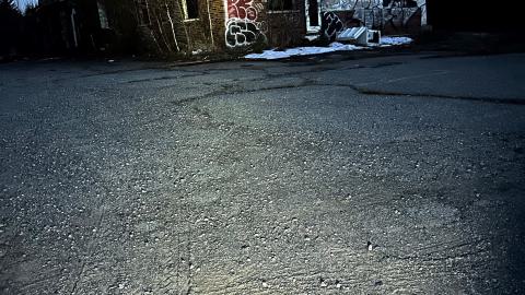 Evening Visit - 018.jpg