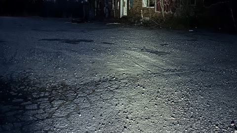 Evening Visit - 019.jpg