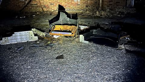 Evening Visit - 021.jpg