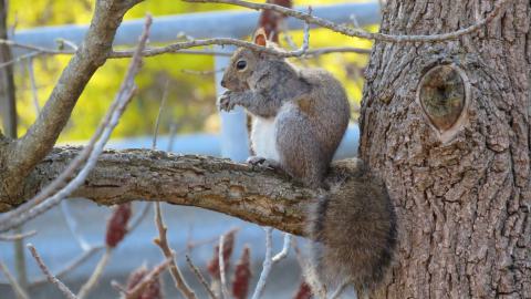 Discovery Visit (Spring 2023) - IMG_2123X.jpg