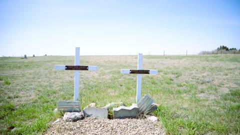 Retlaw, Alberta - DSC_1410.JPG