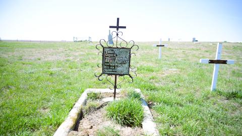 Retlaw, Alberta - DSC_1411.JPG