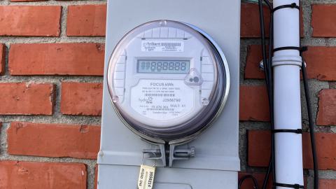 Rawr, No Entry photo 5