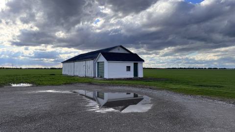 Rawr, No Entry photo 4