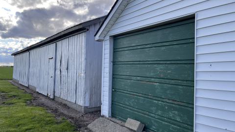 Rawr, No Entry - IMG_6787.jpeg