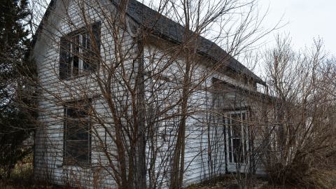 2 Visits - January 2015 / February 2017 - 1.jpg