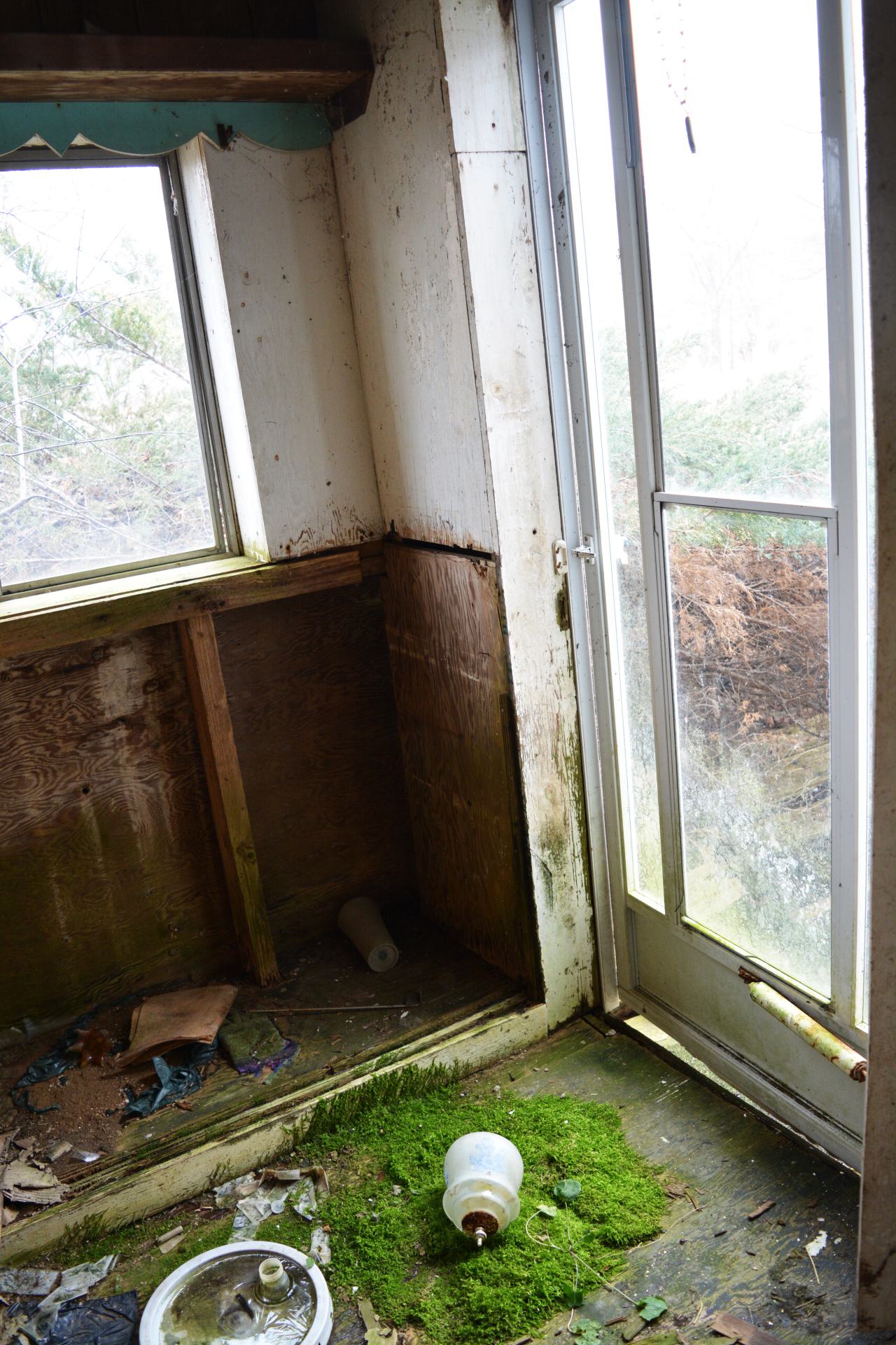 2 Visits - January 2015 / February 2017 - 2.jpg