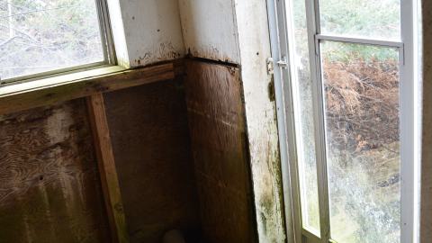 2 Visits - January 2015 / February 2017 - 2.jpg