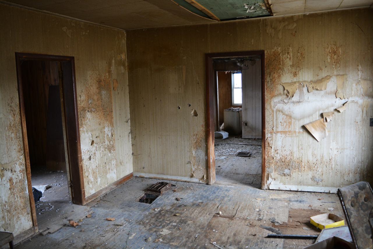 2 Visits - January 2015 / February 2017 - 3.jpg