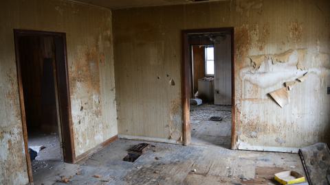 2 Visits - January 2015 / February 2017 - 3.jpg