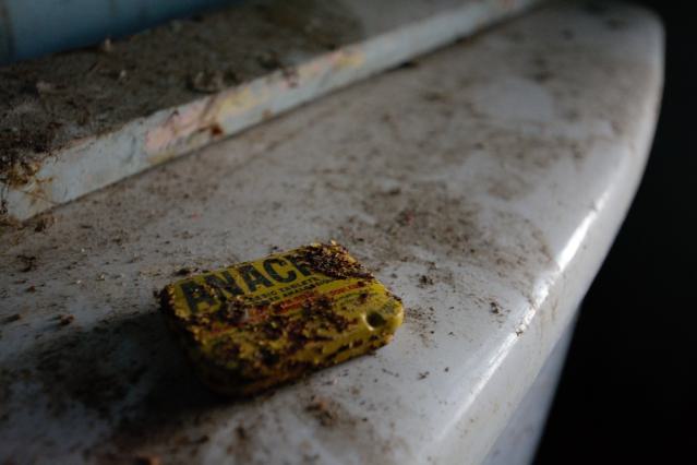 2 Visits - January 2015 / February 2017 - 12.1.jpg