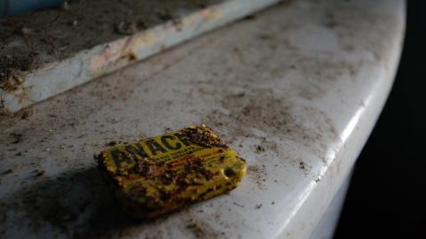 2 Visits - January 2015 / February 2017 - 12.1.jpg