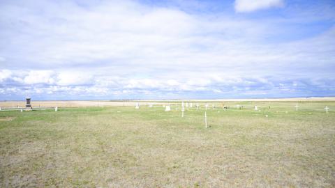 Nemiskam, Alberta - DSC_1659.JPG