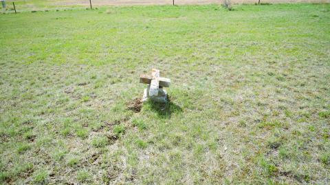 Nemiskam, Alberta - DSC_1660.JPG