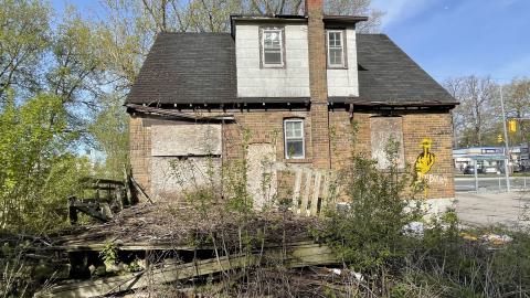 heavily  decrying home - IMG_1067.jpeg