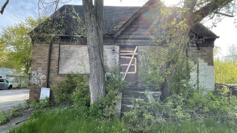 heavily  decrying home - IMG_1068.jpeg