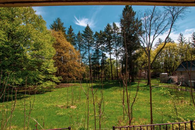 Blue Blue Sky (Exteriors) - locked-2.jpg