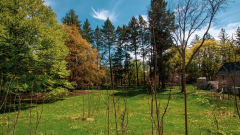 Photo from Blue Blue Sky (Exteriors)