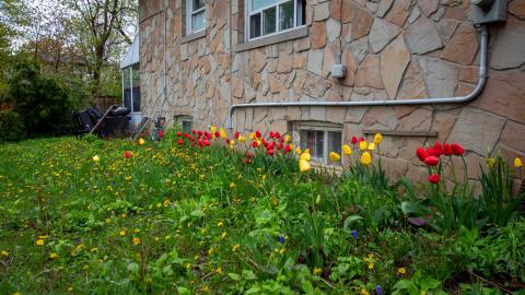 Through The Front Door - laudromat-44.jpg