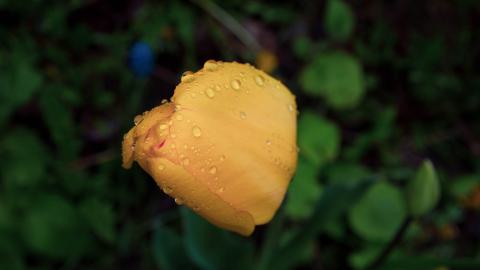 Through The Front Door - laudromat-45.jpg