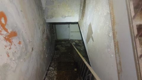 Finally - 20230508_131207.jpg