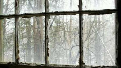 March 2012 - SAM_4467.jpg